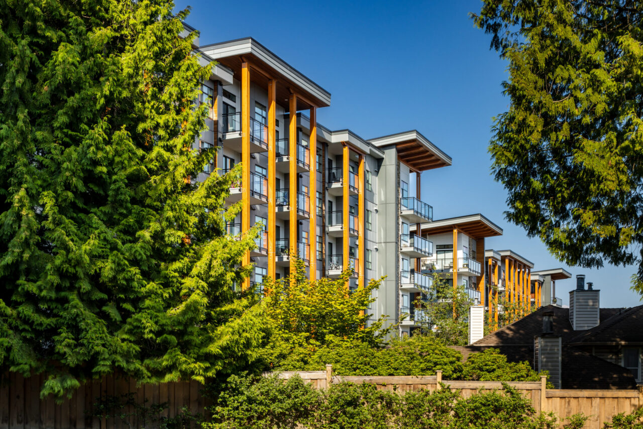 timber beam accents