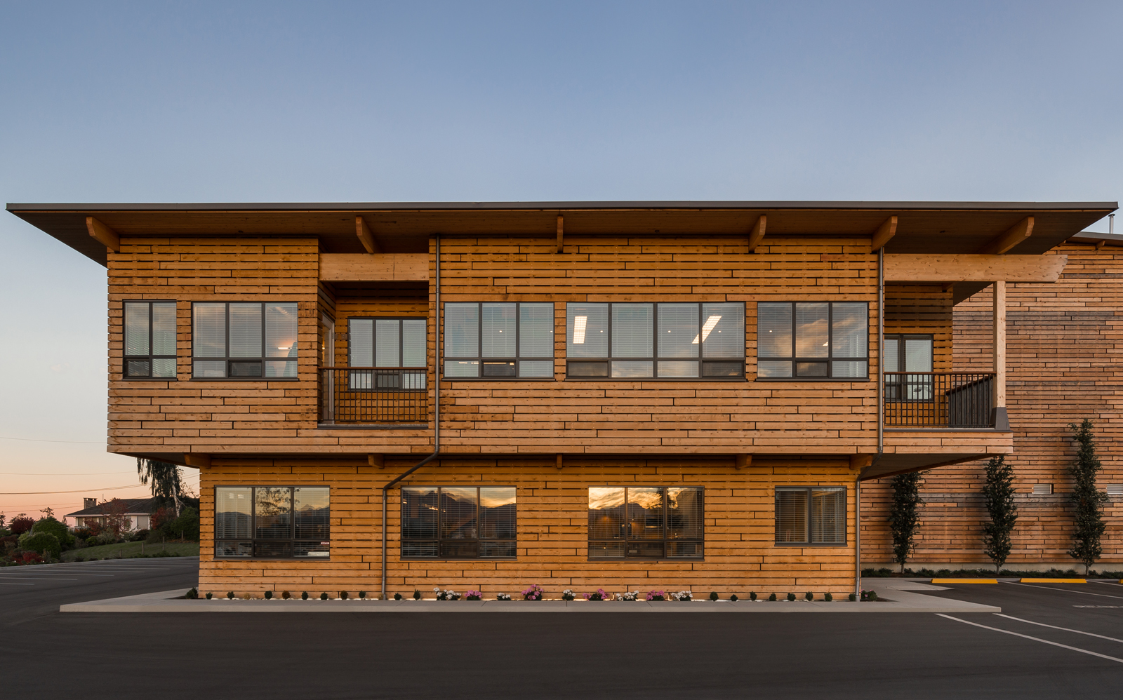 mass timber office
